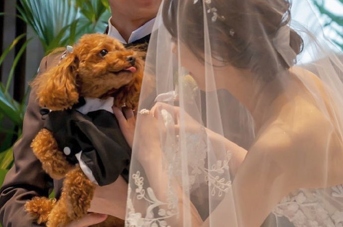 ペットも一緒に！1